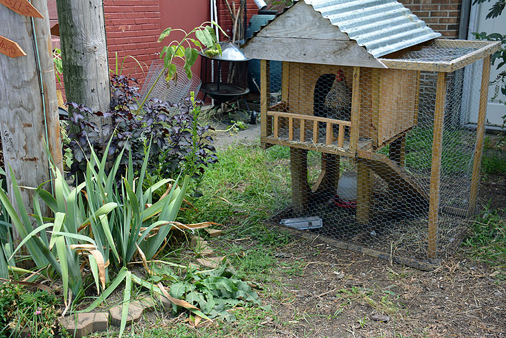 A chicken coop outside Port Discover in Elizabeth City, NC