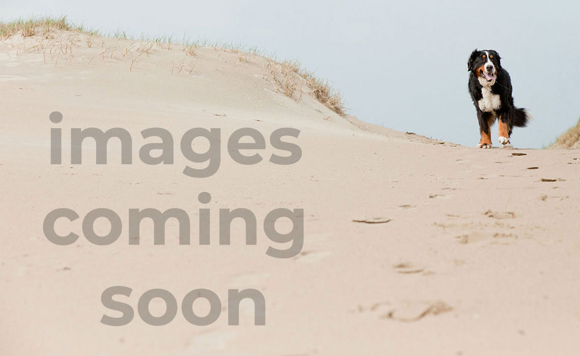 Welcoming 2-bedroom house in charming El...